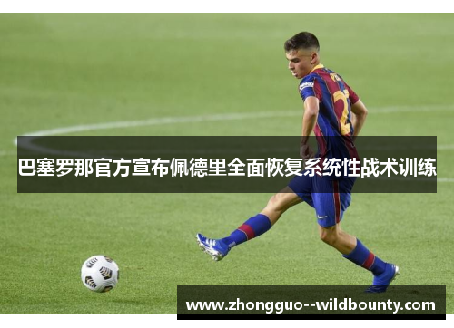 巴塞罗那官方宣布佩德里全面恢复系统性战术训练