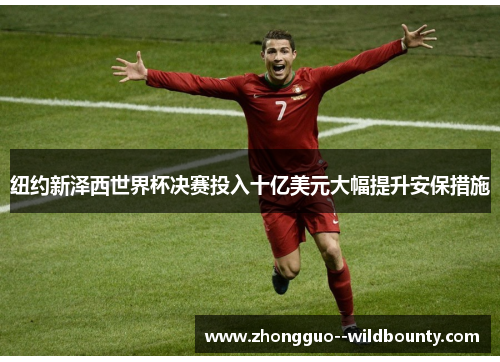 纽约新泽西世界杯决赛投入十亿美元大幅提升安保措施