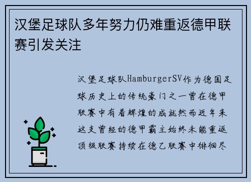 汉堡足球队多年努力仍难重返德甲联赛引发关注 汉堡足球队多年努力仍难重返德甲联赛引发关注